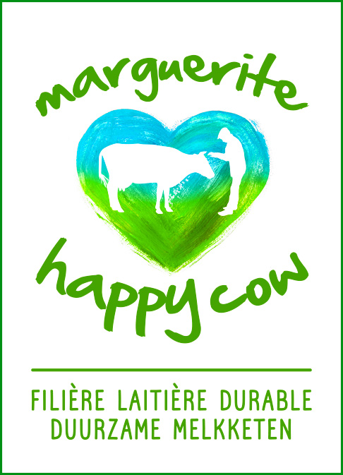 Marguerite Happy Cow